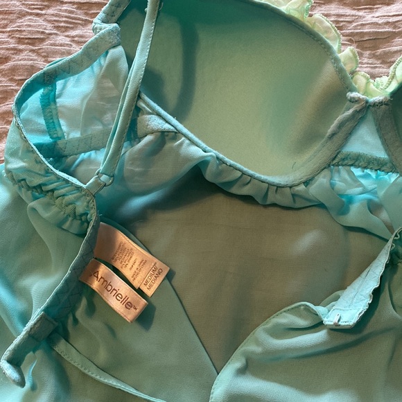 EUC Ambrielle Embroidered Mesh Babydoll - Picture 5 of 5